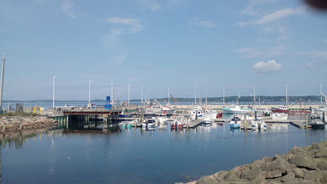 Nerida Eastport Mermaid