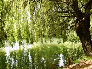 Jardins des Marais de Bourges