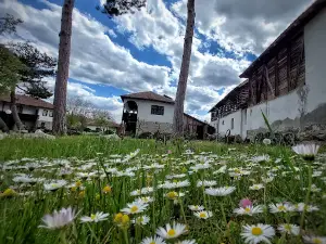 Arheo-etno park Ravna