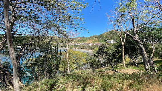 Punta Penca