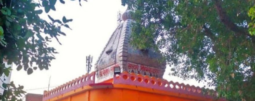 Shri Bhureshwar Mahadev Mandir Pihani