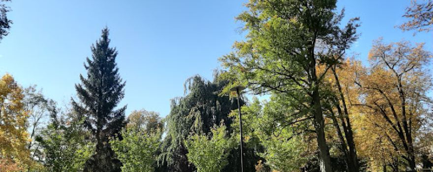 Парк Штадт