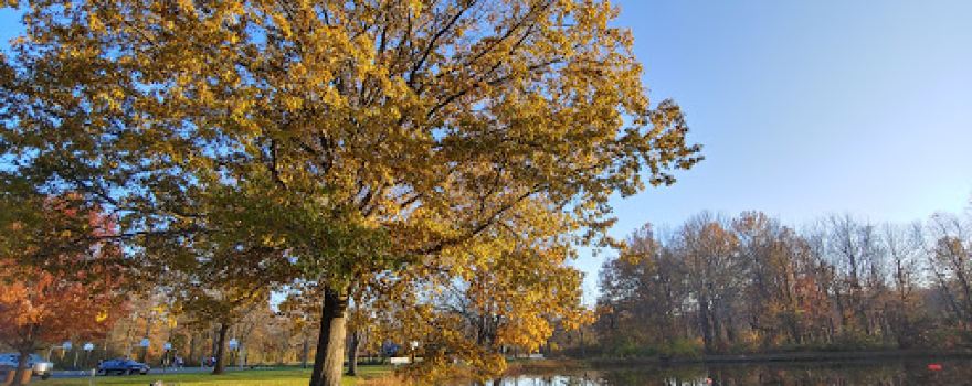 Southard Park