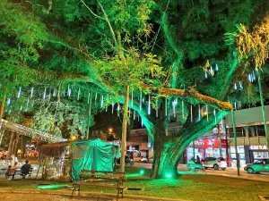 Praça Dr. Augusto Silva