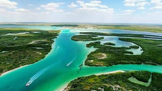 Rio Lagartos Xplore Local Cooperative