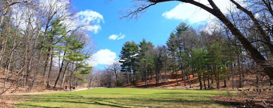 Menotomy Rocks Park