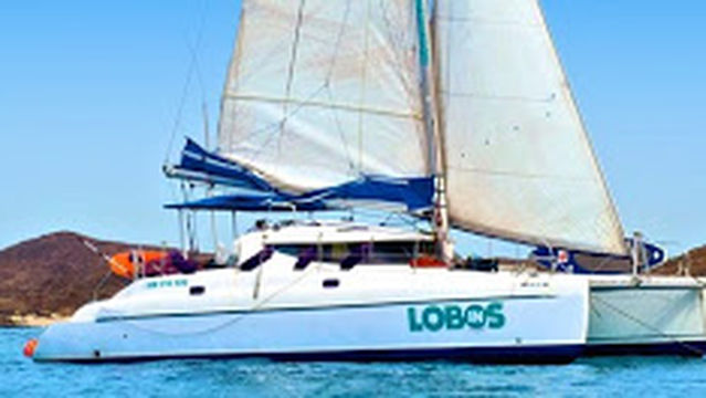 Lobos in Catamaran