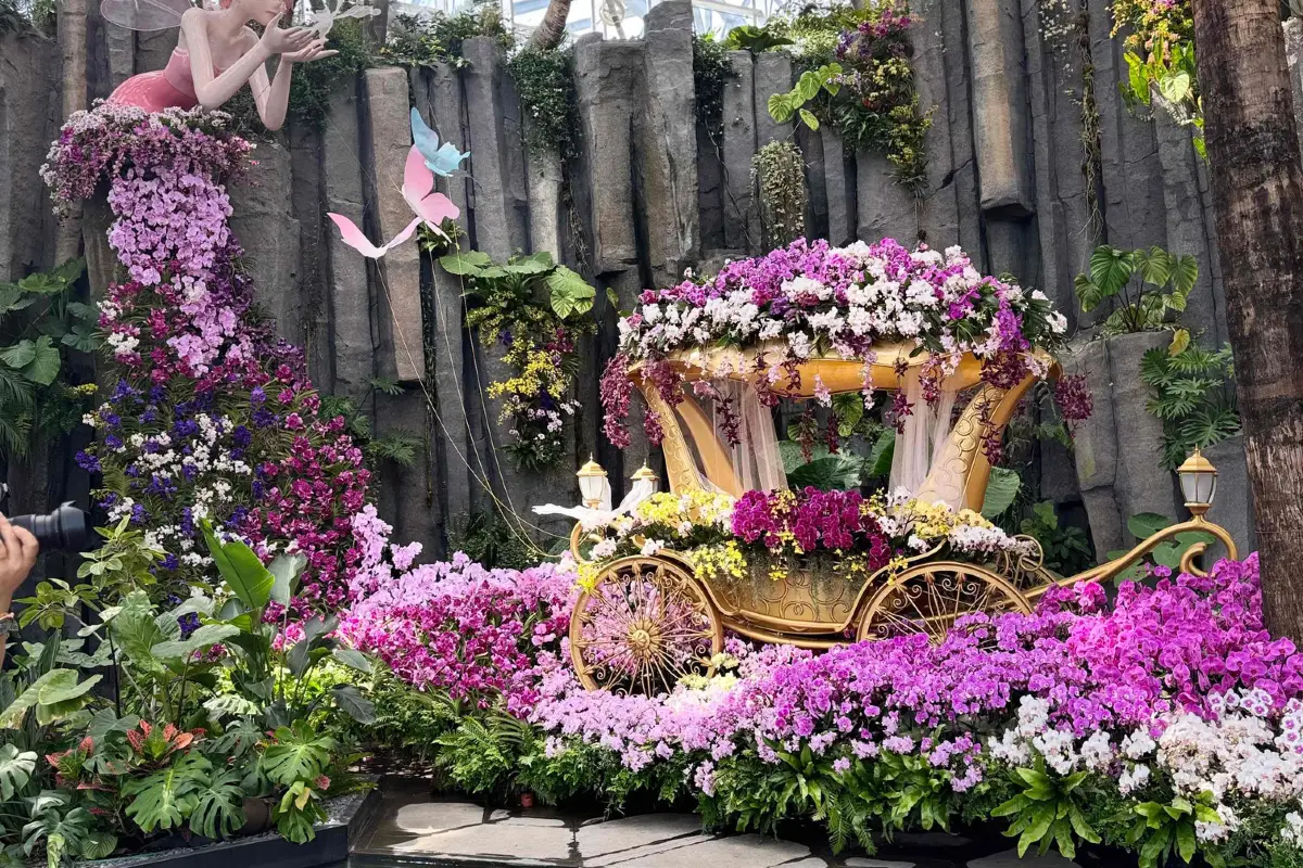 Billet à tarif réduit pour le Shanghai Greenhouse Garden