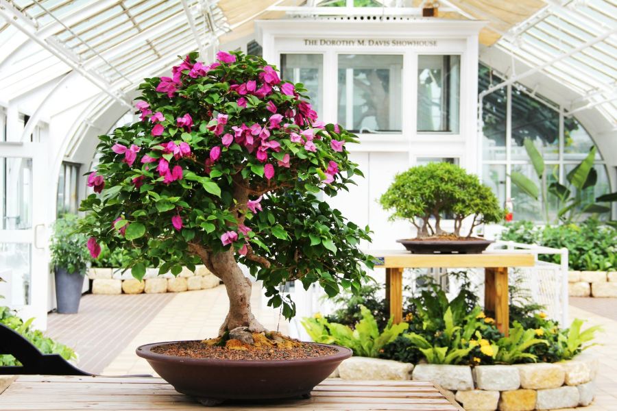 Flights Port Sudan to Columbus