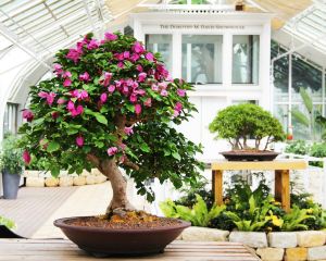 香港-哥倫布 機票酒店 自由行