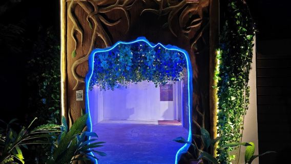 Dream Forest Langkawi