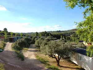 Càmping Terra Alta