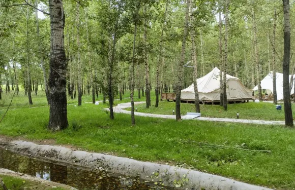 林下露營-紅旗口基地