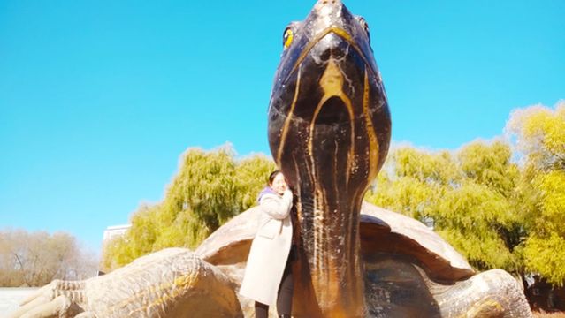 Songhua River Forest Park