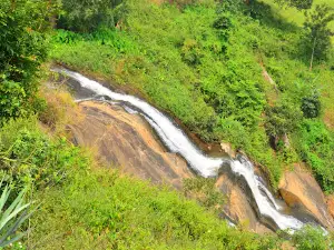 DUMUKU View Point