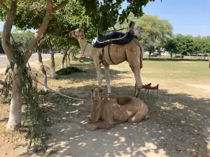 Lahore Wildlife Park