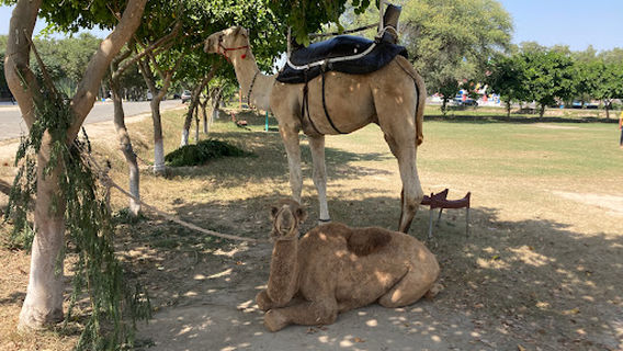 Lahore Wildlife Park