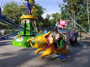 Kam'yansʹkyy Park Kulʹtury Ta Vidpochynku