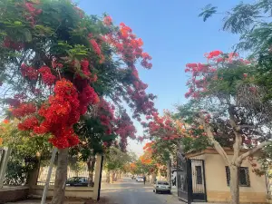 Almalahaa Park