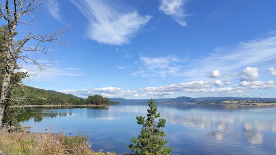 Randsfjorden stoppeplass