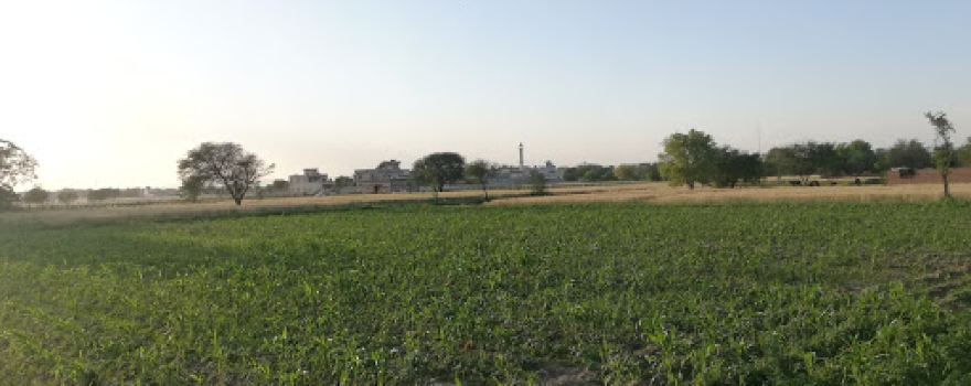 jamia Masjid porilla