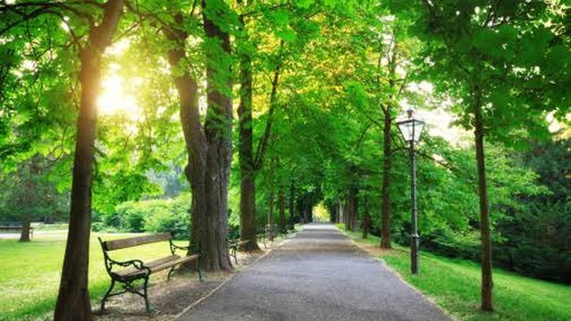 Cultural Green Square Park