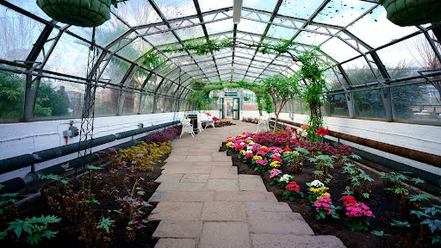 David Welch Winter Gardens