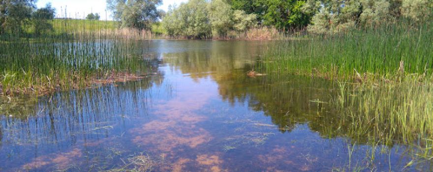 Robert Sommerfeld Natur-Erlebnisse-Flusslandschaft Elbe Brandenburg