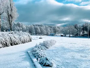 Holms Golf Club