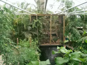 Berkenhof Tropical Zoo