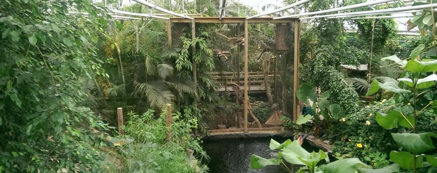 Berkenhof Tropical Zoo
