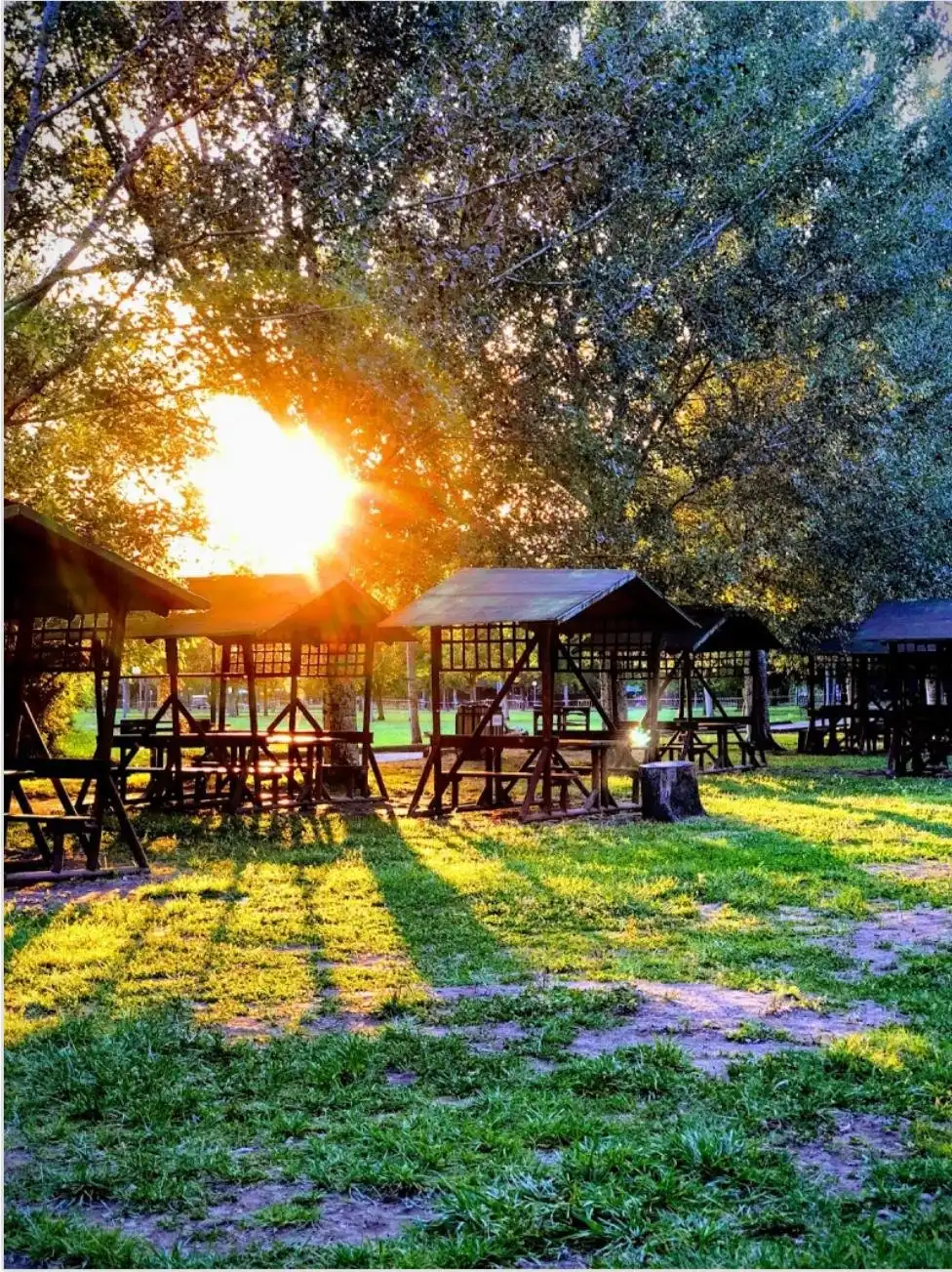 Hotel in zona Parco del Grassano