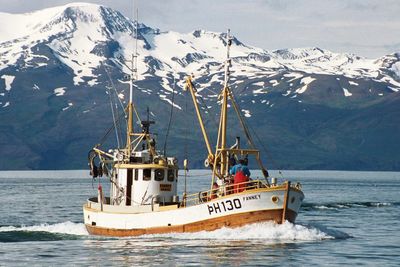 Salka Whale Watching