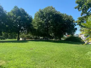 Moretti Park