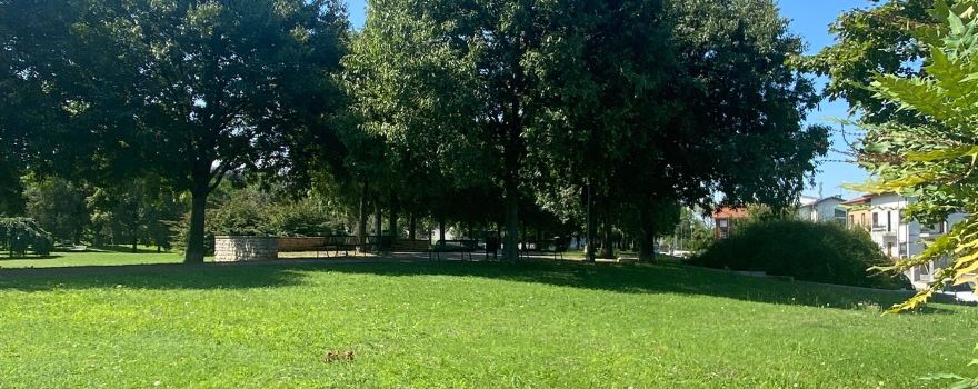 Moretti Park