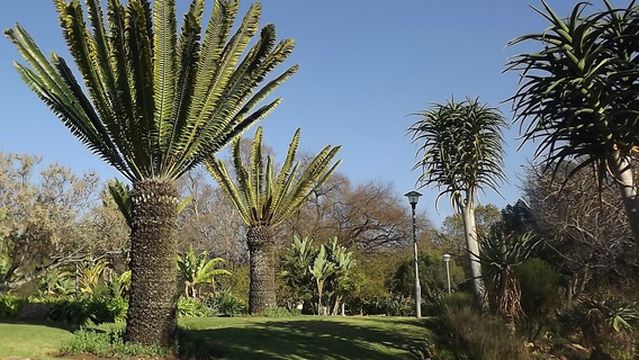 Jan Cilliers Park