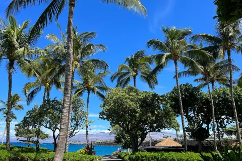 49 Black Sand Beach