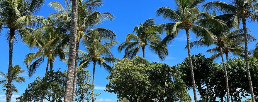 49 Black Sand Beach