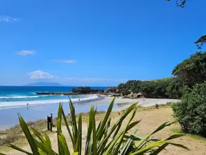 Tawharanui Regional Park