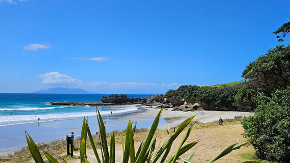 Tāwharanui Regional Park