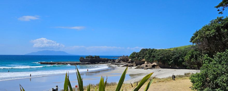 Tawharanui Regional Park