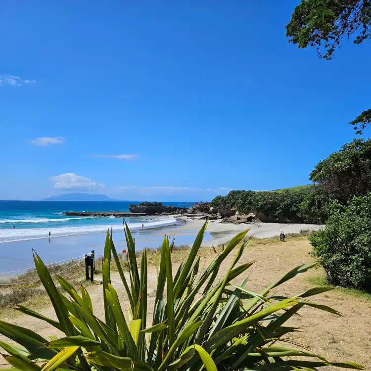 Hotels in Tawharanui Peninsula