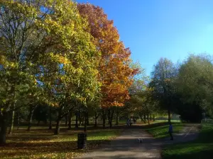 Knighton Park