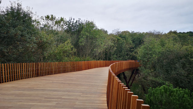 Ataturk's Urban Forest