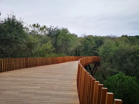 5_Ataturk's Urban Forest