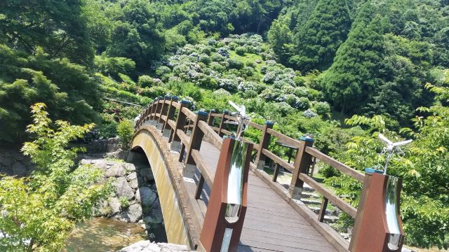 Mikaeri No Taki Falls