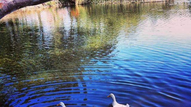 Shipley Nature Center
