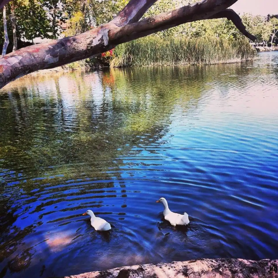Các khách sạn gần Shipley Nature Center