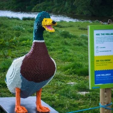 WWT Caerlaverock Wetland Centre