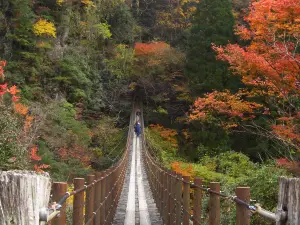Momigi Suspension Bridge